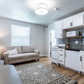 A cozy living room and kitchen area with a sofa, patterned rug, and modern appliances.