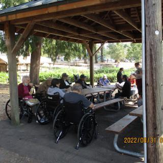 A group of people enjoying a social gathering under a wooden shelter.