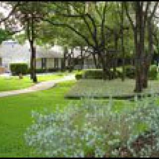 A serene garden with lush greenery and a winding pathway.
