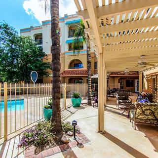 A sunny outdoor patio with a pergola overlooking a pool surrounded by a fence and palm trees.