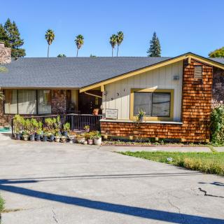 A suburban house with a driveway and palm trees in the background.