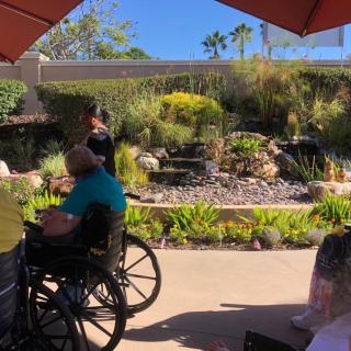 People enjoying a sunny day in a garden setting.