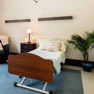 A well-designed patient room featuring a hospital bed, bedside lamp, and a decorative plant.