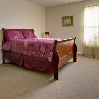 A cozy bedroom with a wooden bed and purple bedding, featuring a large window and carpeted floor.