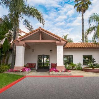 Entrance to a hotel surrounded by palm trees and well-maintained landscaping.
