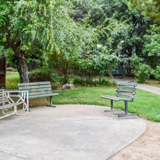 A tranquil park setting with benches surrounded by lush greenery and trees.