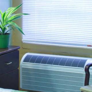 A room with an air conditioner, a plant on a table, and window blinds.