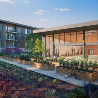 Modern building with an adjacent landscaped garden surrounded by plants.
