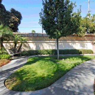 A neatly landscaped garden with a central tree, surrounding grass, and a curved sidewalk.