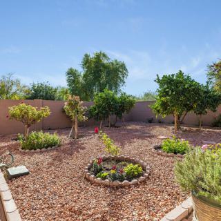 A well-maintained backyard garden with trees and plants under a clear blue sky.