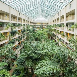 A spacious atrium filled with lush greenery and tropical plants under a glass ceiling.