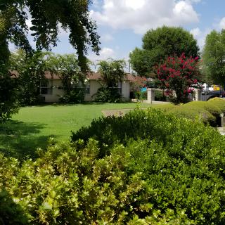 A scenic garden view with lush greenery and vibrant trees.