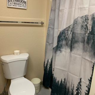 A bathroom with a mountain-themed shower curtain and minimalist decor.