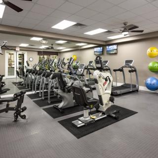 A well-equipped gym with treadmills, stationary bikes, and weights.