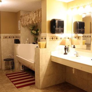 A well-lit bathroom featuring a large vanity with a mirror, a bathtub, and decorative elements.