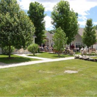 A sunny garden with a well-maintained lawn, trees, and a pathway leading to a house.