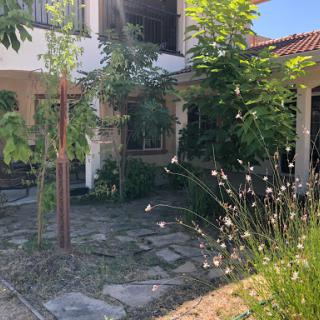 A serene garden area with lush greenery and a stone pathway leading to the house.