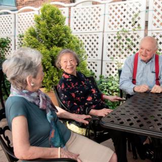 A group of elderly friends enjoying a conversation on a sunny day in the garden.