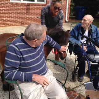 Elderly individuals interacting with a mini horse outdoors.