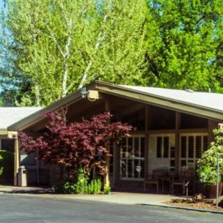 A house surrounded by lush trees and well-maintained landscaping.
