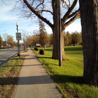 A peaceful sidewalk lined with trees, leading through a park on a sunny day.