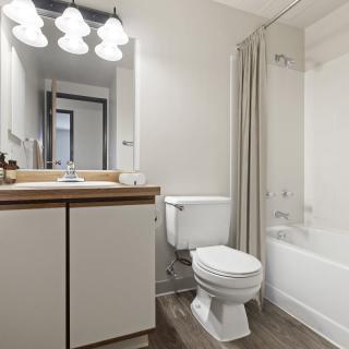 A minimalist bathroom with a vanity, toilet, and bathtub with a shower curtain.