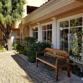 A sunny outdoor area with a wooden bench and garden, next to a building with large windows.