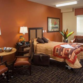 A cozy bedroom with warm tones, featuring a hospital bed, decorative pillows, and elegant furniture.