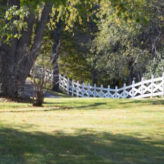 A serene view of a white fence winding through a lush green landscape.