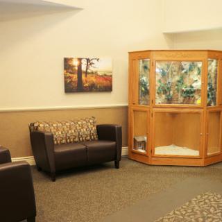 A cozy waiting area featuring comfortable brown chairs, a wooden display case, and an artistic photograph on the wall.