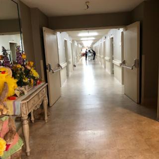A serene hospital corridor adorned with flowers, leading to various patient rooms.