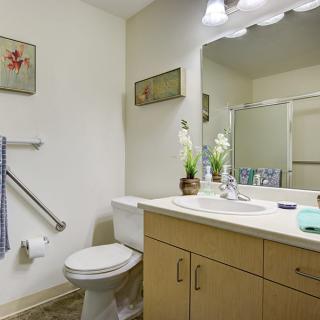 A clean and tidy bathroom featuring a vanity with a mirror, toilet, handrail, and decorative elements.