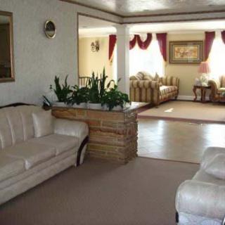 A spacious living room with comfortable sofas and indoor plants, featuring elegant curtains and ample natural light.