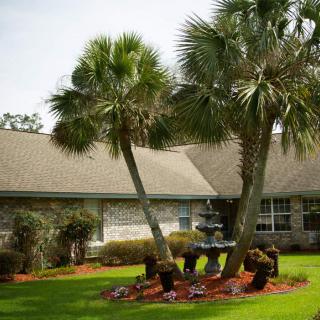 A well-manicured lawn with palm trees in front of a residential house.