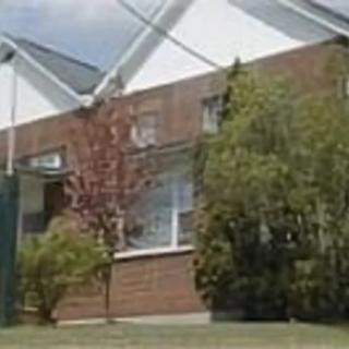 A suburban brick house with greenery in the front yard.