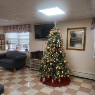 A cozy living room decorated for the Christmas season, featuring a beautifully adorned Christmas tree.