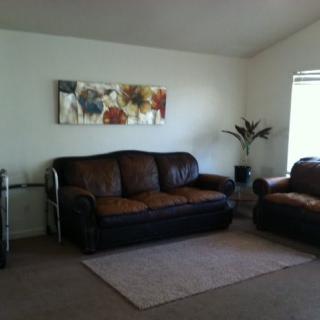 A cozy living room featuring leather sofas, a decorative rug, wall art, and a potted plant near the window.