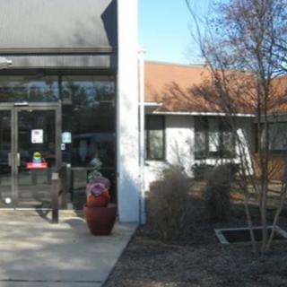 Entrance of a building with plants and trees surrounding it.