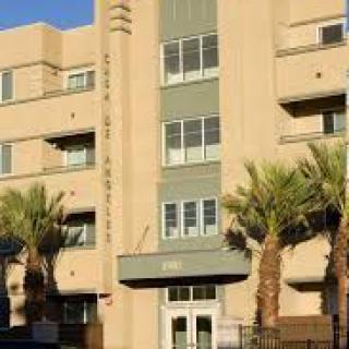 A sunny exterior view of an apartment building with palm trees in front.