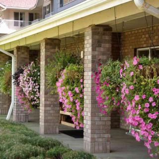 A porch adorned with vibrant hanging baskets of flowers along brick pillars.
