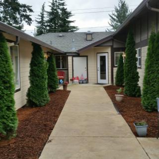 A nicely landscaped courtyard with a central pathway flanked by small trees leading to a building.