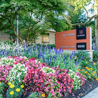 A vibrant garden with colorful flowers surrounds a sign amidst lush greenery.