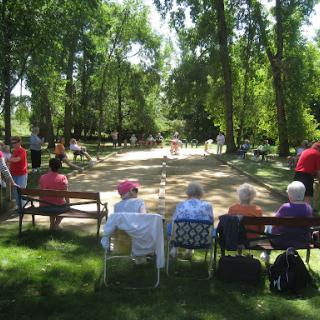 Elderly individuals enjoying a sunny day at the park, watching a game of bocce ball.