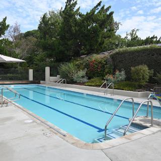 A serene outdoor swimming pool surrounded by greenery.
