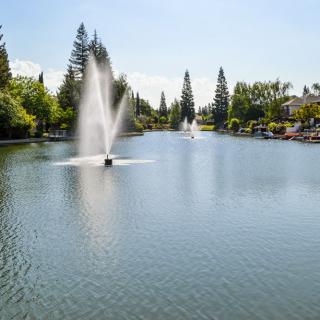 A scenic view of a lake with fountains surrounded by trees on a sunny day.