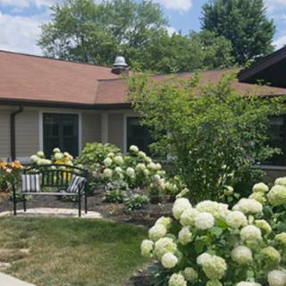 A beautiful garden with blooming hydrangeas in front of a house, featuring a bench for relaxing.