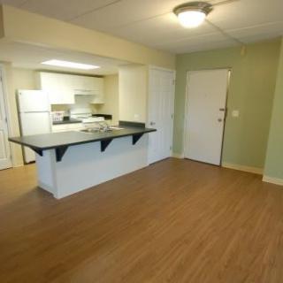 An open kitchen area in an apartment with wood flooring and a countertop.