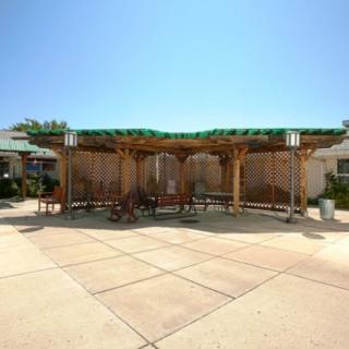 A wooden pergola providing shaded seating on a sunny patio.