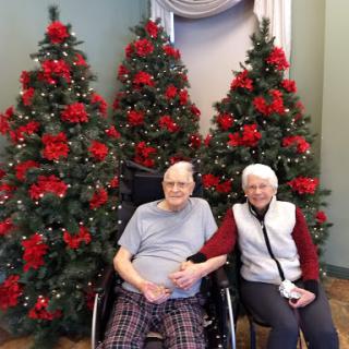 A cozy moment shared between an elderly couple surrounded by festive Christmas trees.