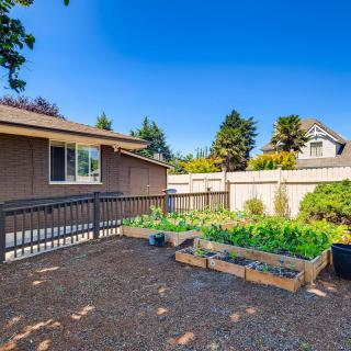 A spacious backyard featuring a vegetable garden with raised beds, surrounded by a fence and bordered by trees on a sunny day.